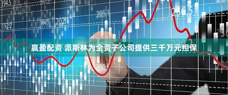 赢盈配资 派斯林为全资子公司提供三千万元担保