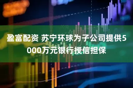 盈富配资 苏宁环球为子公司提供5000万元银行授信担保